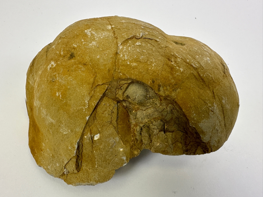 Septarian Geode 6.5W [Photo 9]