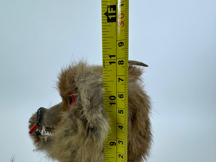 Vintage Native American Hopi Wolf Kweo Kachina Doll 11H [Photo 17]