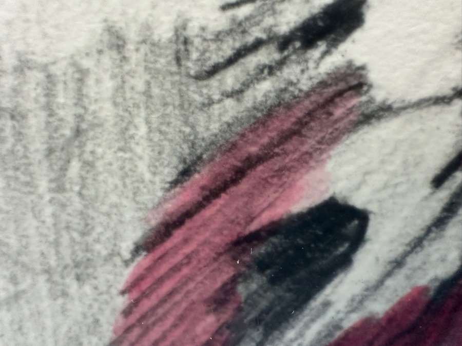 Gene Locklear (B. 1949, American / Former Padres Baseball Player) Original Native American Charcoal Drawing On Paper 16 X 24.5 Framed 25.5 X 33.5 [Photo 16]