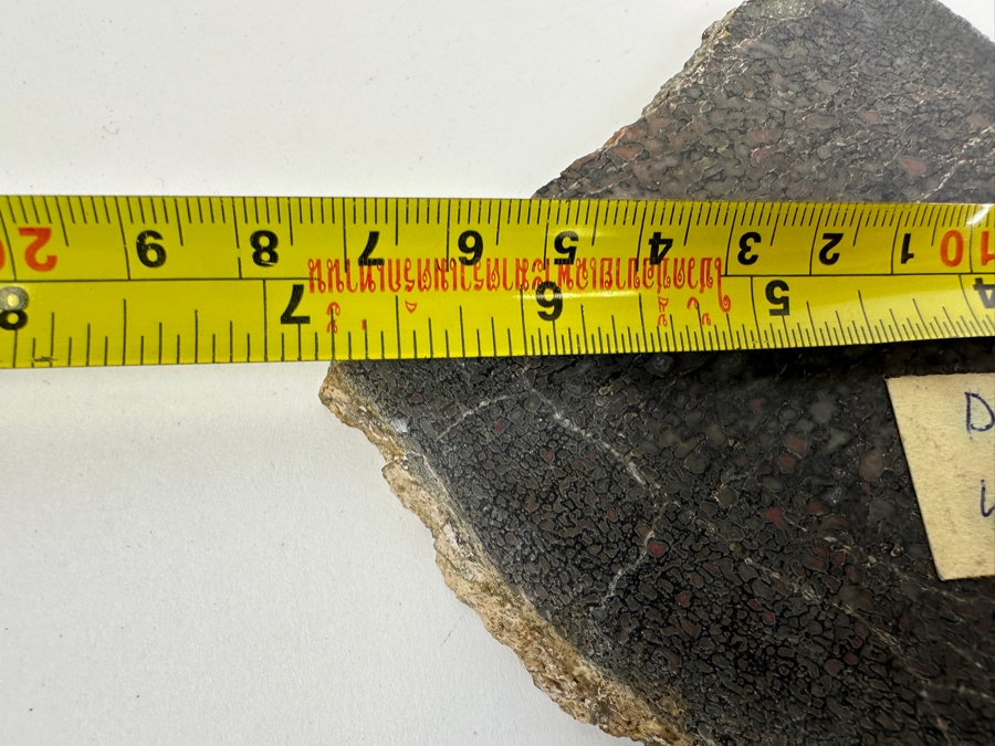 Pair Of Antique Dinosaur Bone Fossils From Western Colorado [Photo 14]