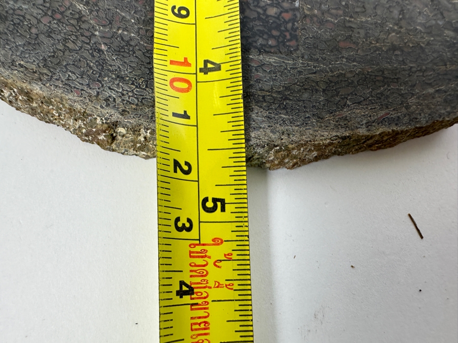 Pair Of Antique Dinosaur Bone Fossils From Western Colorado [Photo 15]