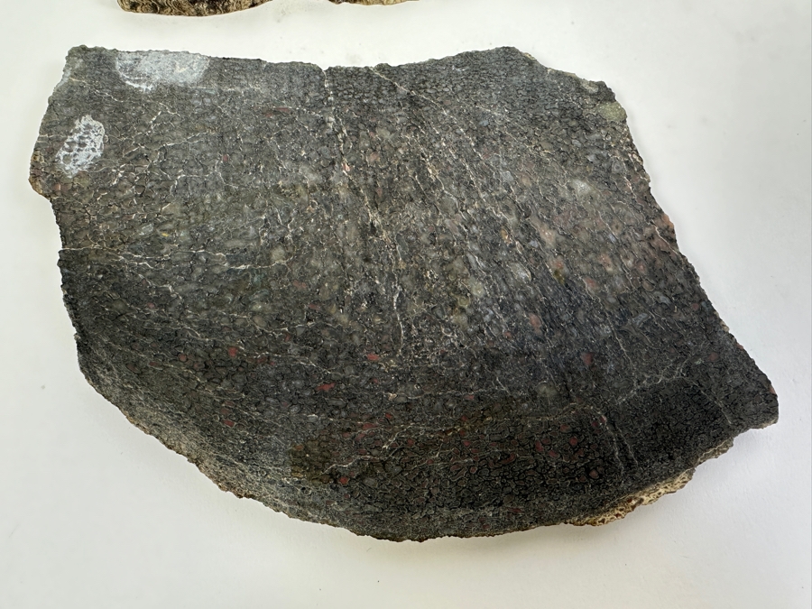 Pair Of Antique Dinosaur Bone Fossils From Western Colorado [Photo 13]