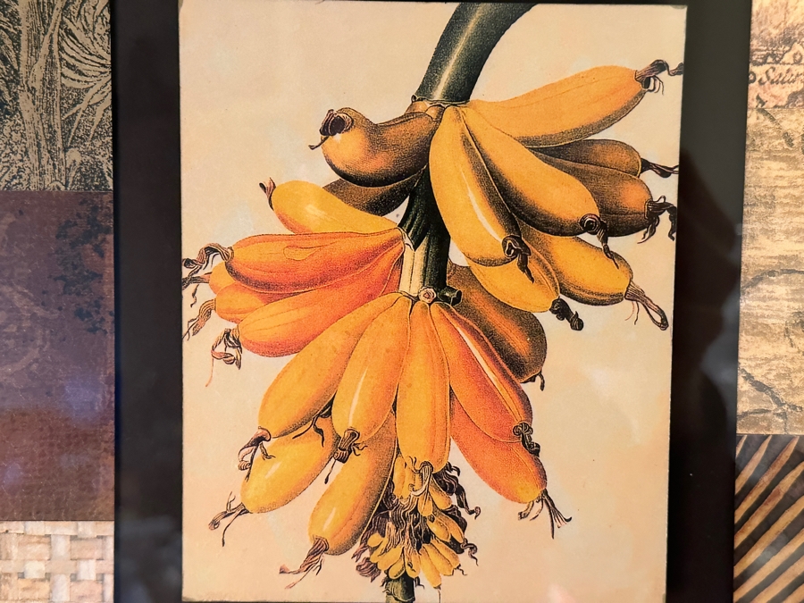 JUST ADDED - Tommy Bahama Banana Artwork 31'W x 37'H [Photo 4]