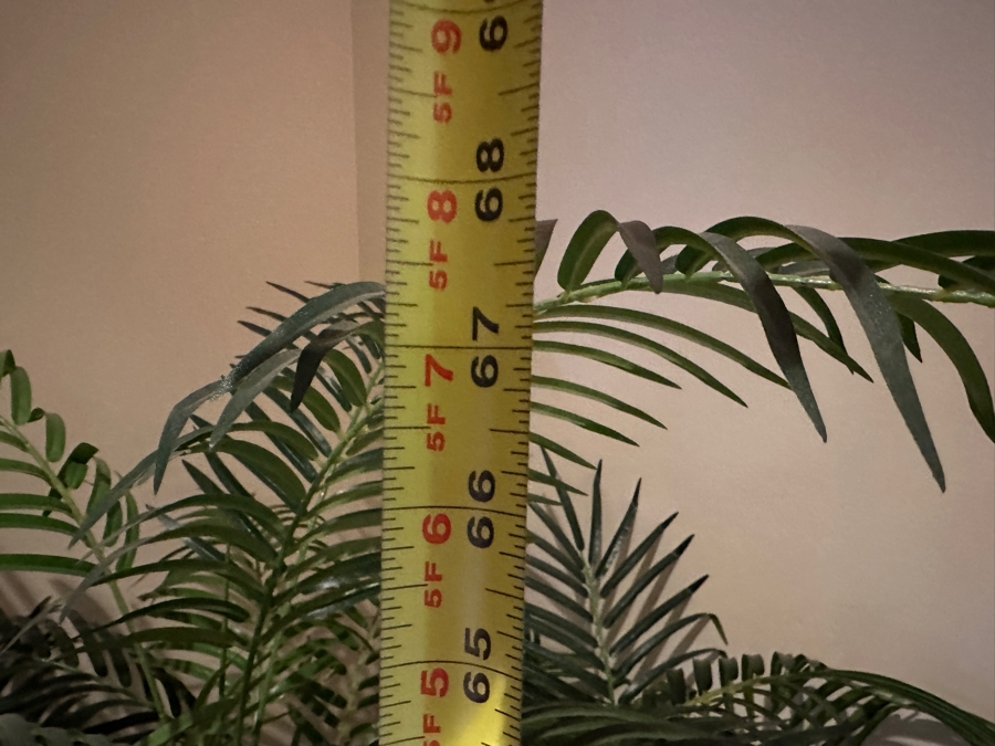 JUST ADDED - Artificial Palm Tree in Decorative Rattan Planter 68'H [Photo 5]