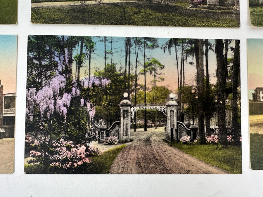 Nine Vintage Hand Colored Postcards Published By Lanneau's Art Store In Charleston, SC [Photo 7]