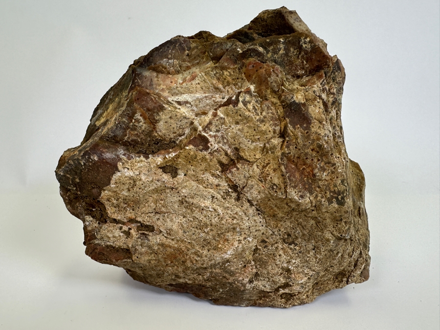 Large Chunk Of Petrified Palm Tree 9W X 8H X 3D [Photo 6]