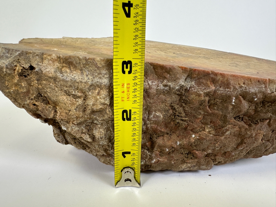 Large Chunk Of Petrified Palm Tree 9W X 8H X 3D [Photo 10]