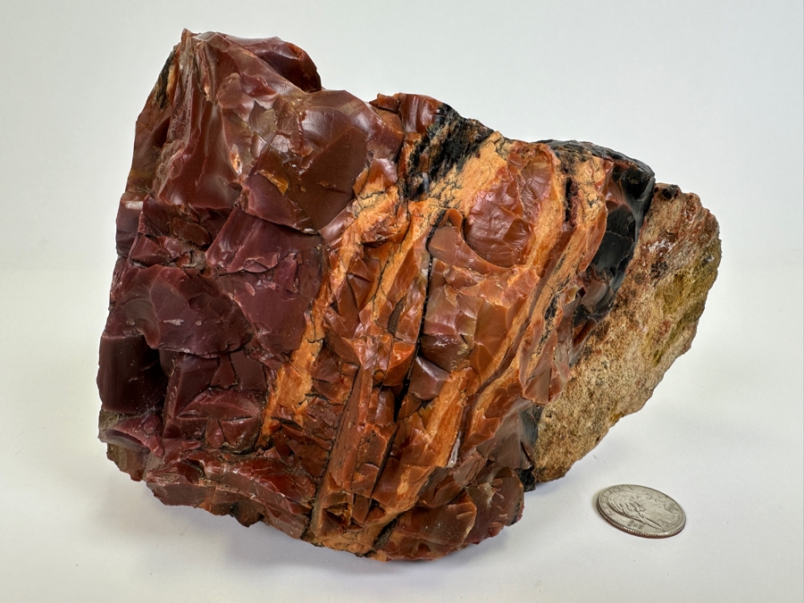 Large Vintage Chunk Of Petrified Wood From The Petrified Forrest [Photo 2]