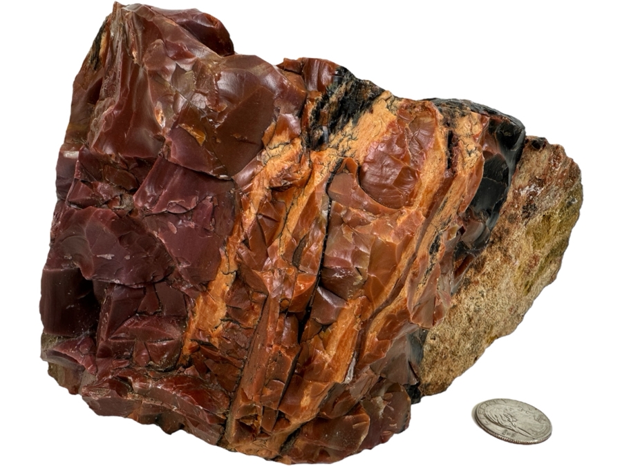 Large Vintage Chunk Of Petrified Wood From The Petrified Forrest