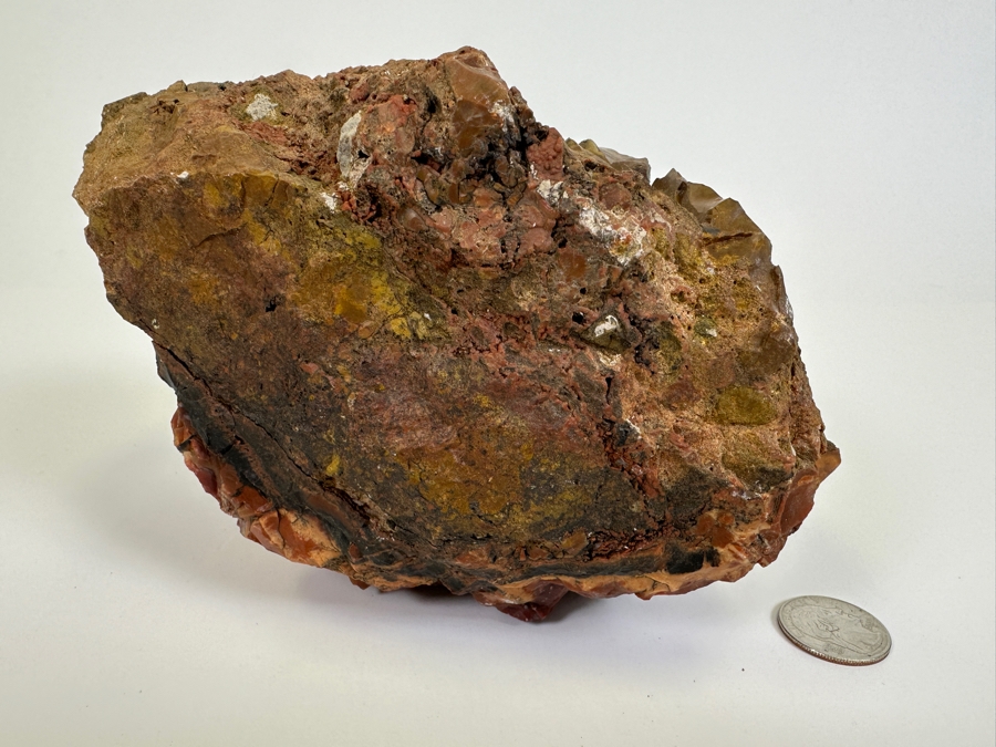 Large Vintage Chunk Of Petrified Wood From The Petrified Forrest [Photo 8]