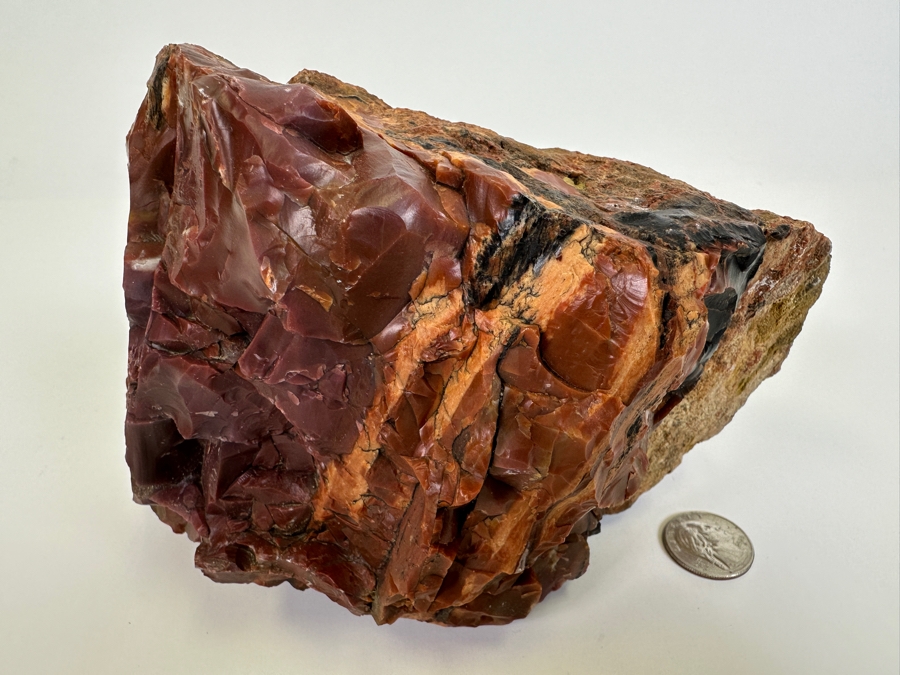 Large Vintage Chunk Of Petrified Wood From The Petrified Forrest [Photo 3]