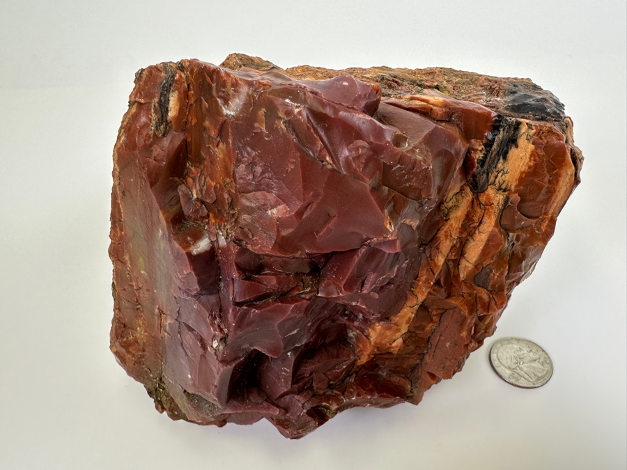 Large Vintage Chunk Of Petrified Wood From The Petrified Forrest [Photo 6]