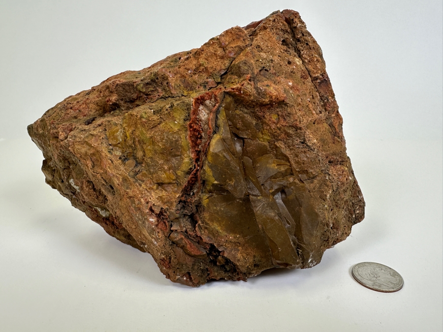 Large Vintage Chunk Of Petrified Wood From The Petrified Forrest [Photo 7]