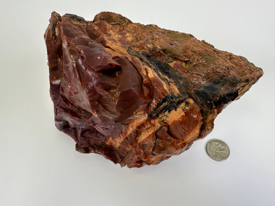 Large Vintage Chunk Of Petrified Wood From The Petrified Forrest [Photo 4]
