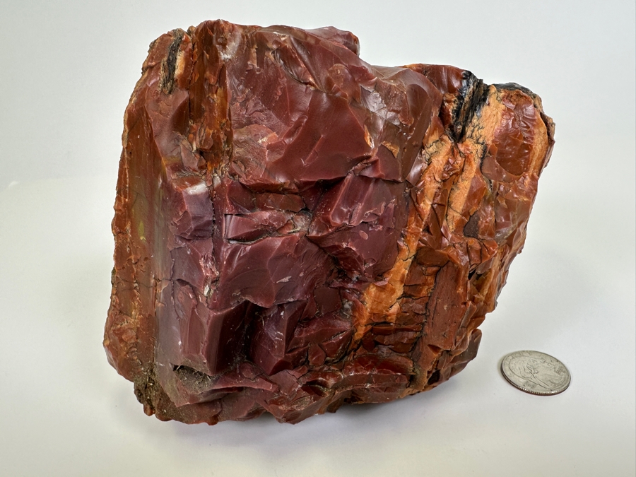 Large Vintage Chunk Of Petrified Wood From The Petrified Forrest [Photo 5]