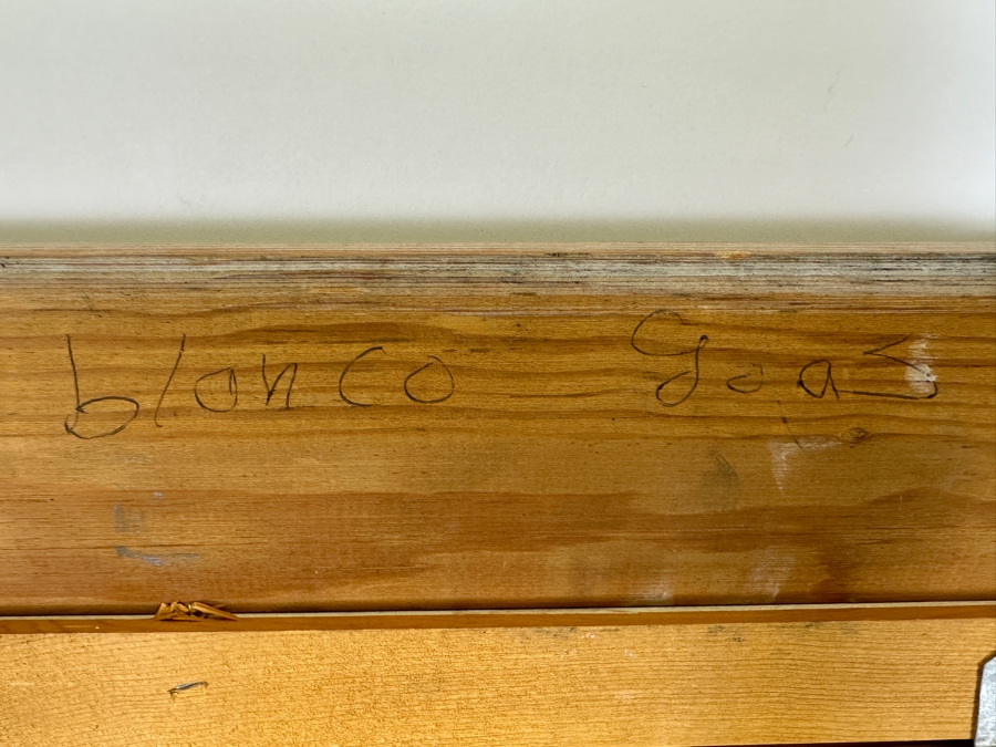 Original Unsigned Parrot Painting On Canvas 30 X 24 Framed 37 X 31.5 [Photo 8]