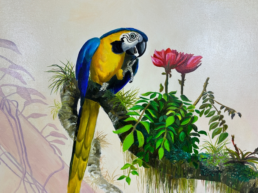 Original Unsigned Parrot Painting On Canvas 30 X 24 Framed 37 X 31.5 [Photo 3]