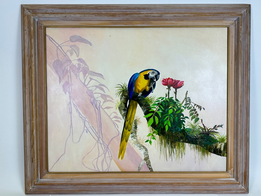 Original Unsigned Parrot Painting On Canvas 30 X 24 Framed 37 X 31.5 [Photo 2]
