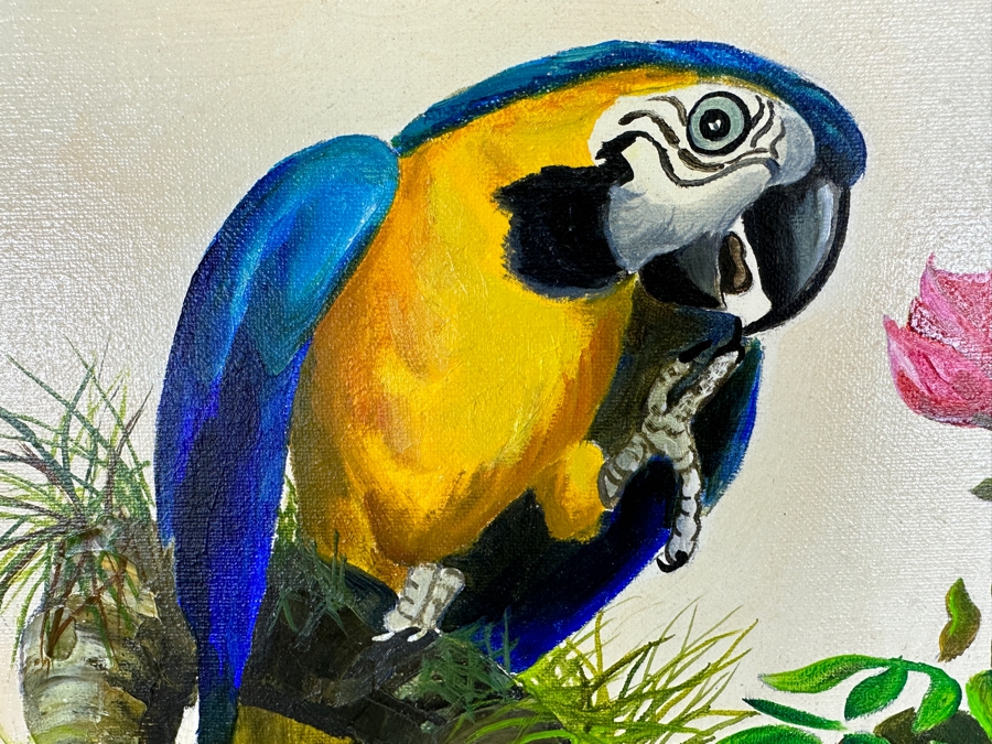 Original Unsigned Parrot Painting On Canvas 30 X 24 Framed 37 X 31.5 [Photo 6]
