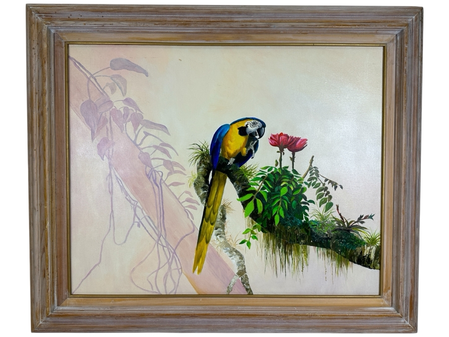Original Unsigned Parrot Painting On Canvas 30 X 24 Framed 37 X 31.5