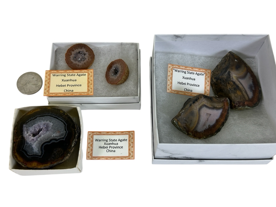 Collection Of Warring State Agates From Xuanhua Hebei Province Of China