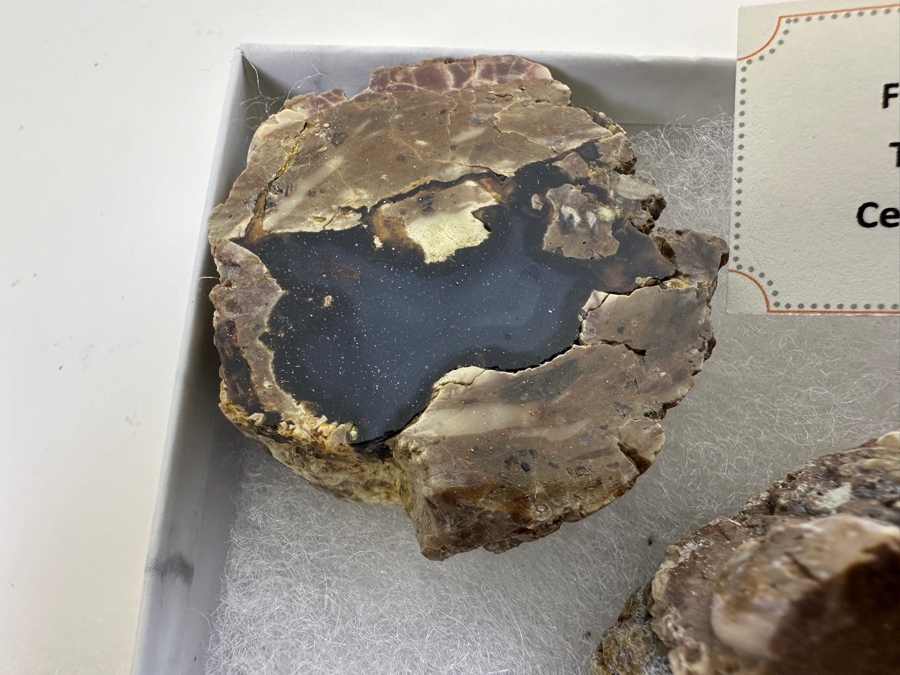 Friend Ranch Thunderegg From Central Oregon And Agates [Photo 3]