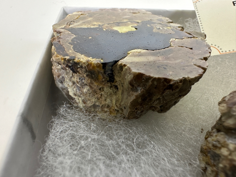 Friend Ranch Thunderegg From Central Oregon And Agates [Photo 4]