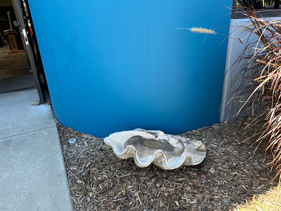 Very Large Organic Clam Shell 33W X 21D X 10.5H [Photo 5]
