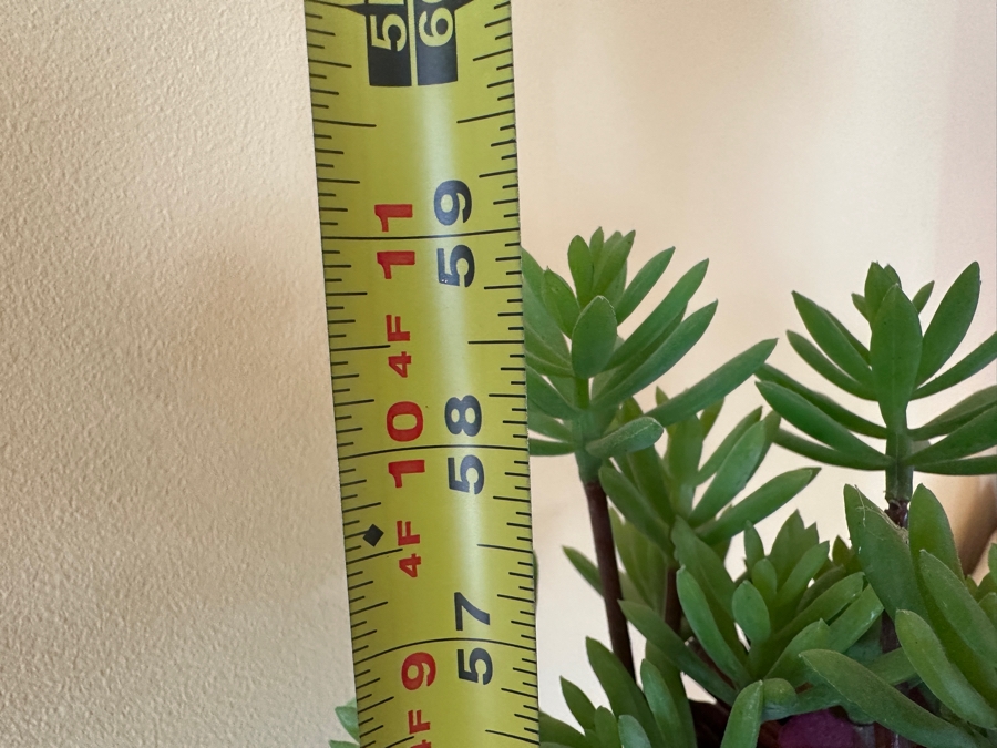 Crate & Barrel Charcoal Cube Planter With Artificial Succulents 16W X 16D X 59H [Photo 7]