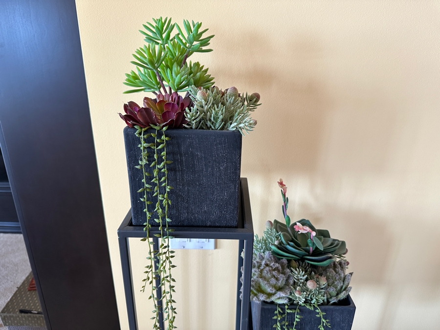 Crate & Barrel Charcoal Cube Planter With Artificial Succulents 16W X 16D X 59H [Photo 3]