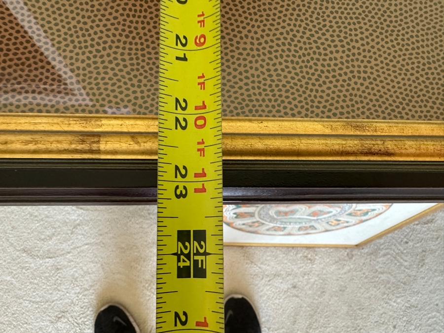 Pair Of Framed Butterfly Histoire Naturelle Prints 8 X 12 Framed 19 X 23 [Photo 13]