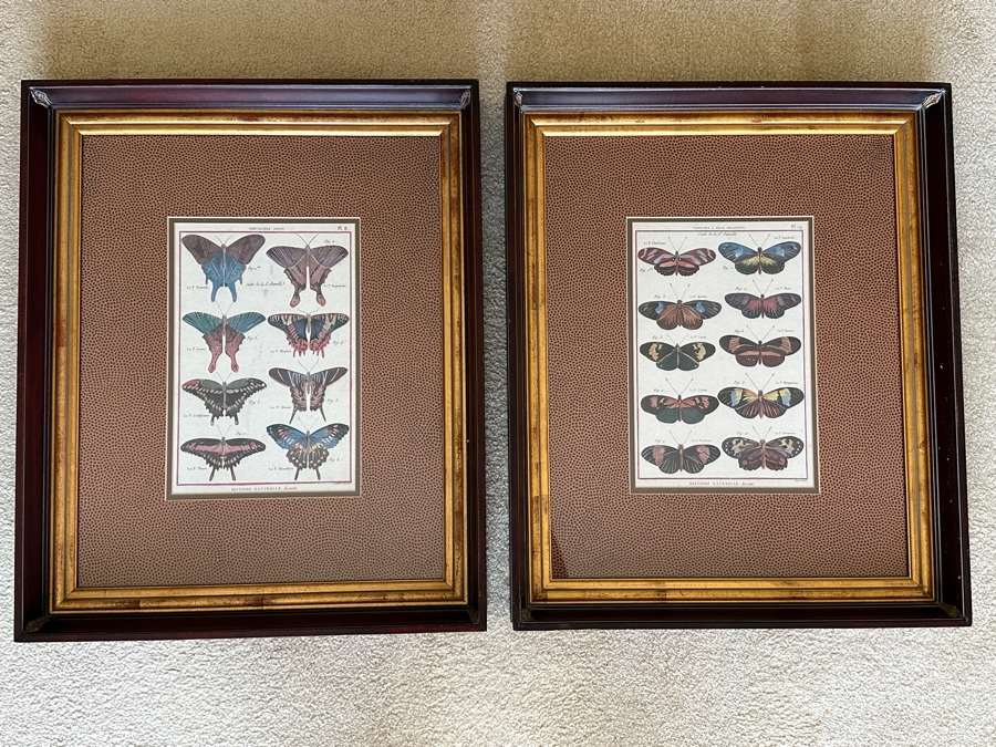 Pair Of Framed Butterfly Histoire Naturelle Prints 8 X 12 Framed 19 X 23