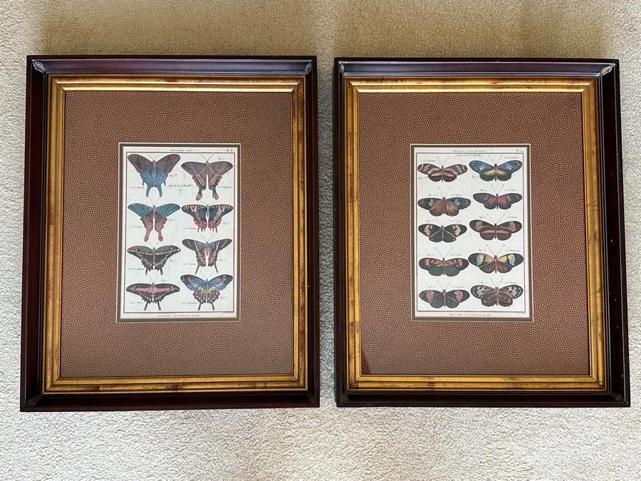 Pair Of Framed Butterfly Histoire Naturelle Prints 8 X 12 Framed 19 X 23 [Photo 2]