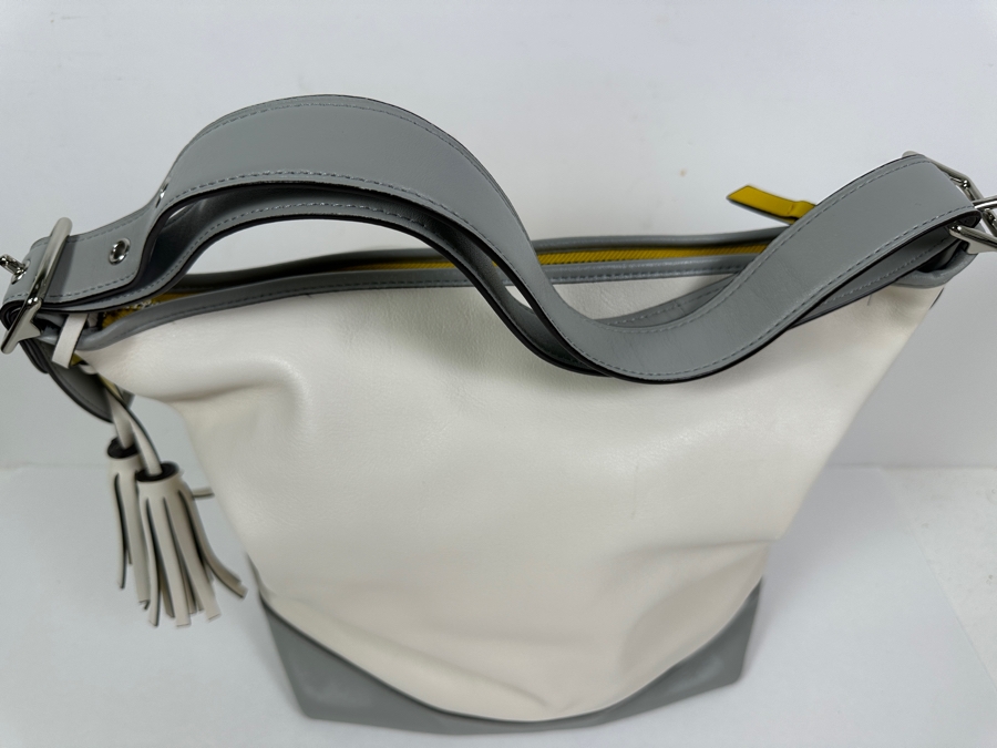 Coach Handbag [Photo 9]