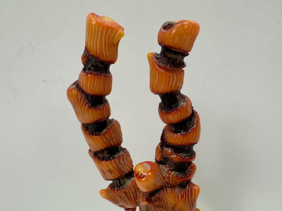 Fossilized Organic Sculptural Red Coral 6.25H 174.5g [Photo 5]