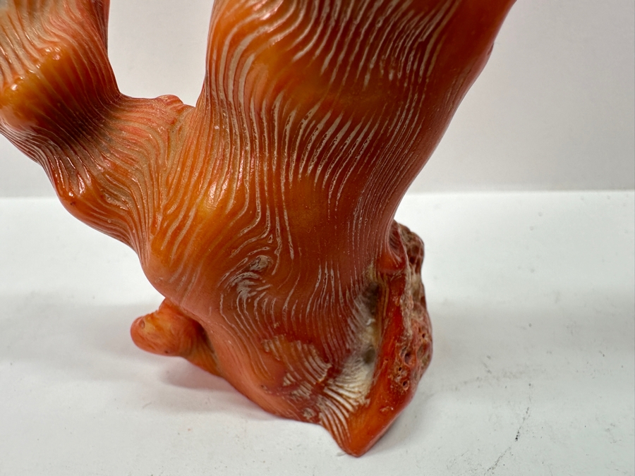 Fossilized Organic Sculptural Red Coral 6.25H 174.5g [Photo 11]