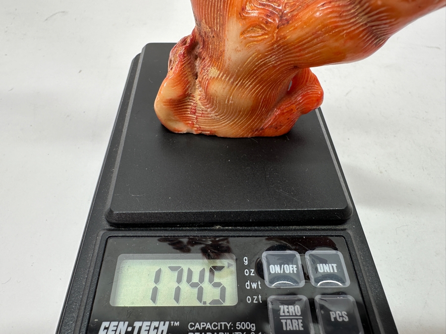 Fossilized Organic Sculptural Red Coral 6.25H 174.5g [Photo 15]