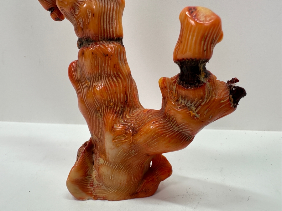 Fossilized Organic Sculptural Red Coral 6.25H 174.5g [Photo 3]