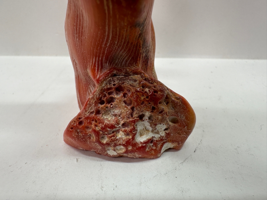 Fossilized Organic Sculptural Red Coral 6.25H 174.5g [Photo 12]