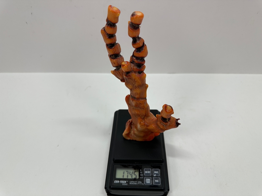 Fossilized Organic Sculptural Red Coral 6.25H 174.5g [Photo 14]