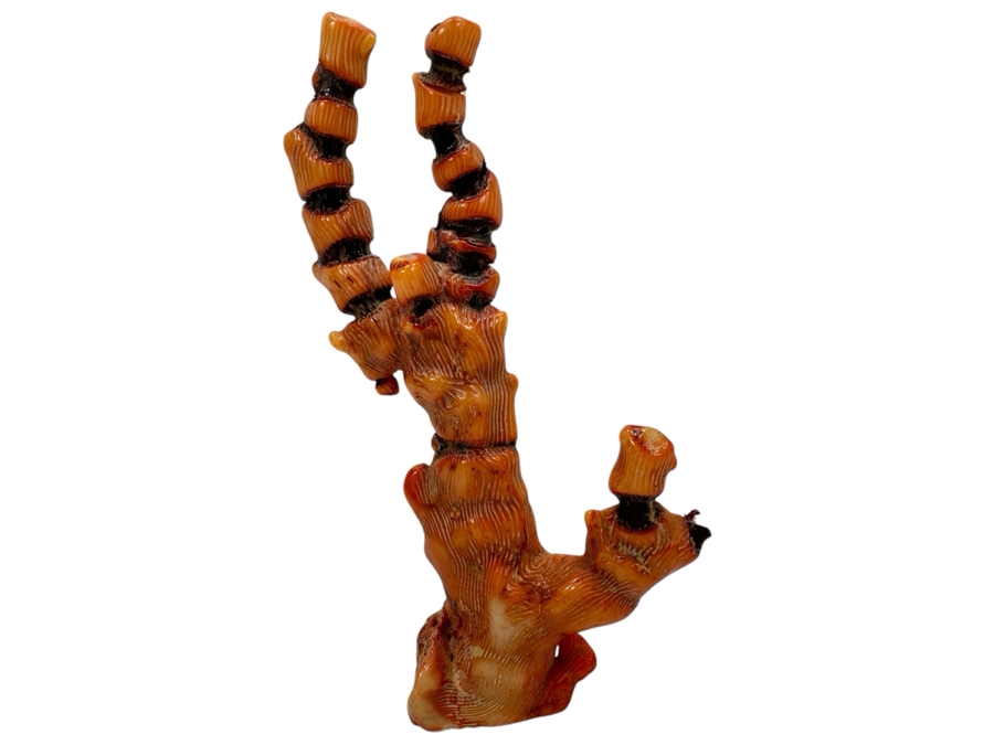 Fossilized Organic Sculptural Red Coral 6.25H 174.5g [Photo 1]