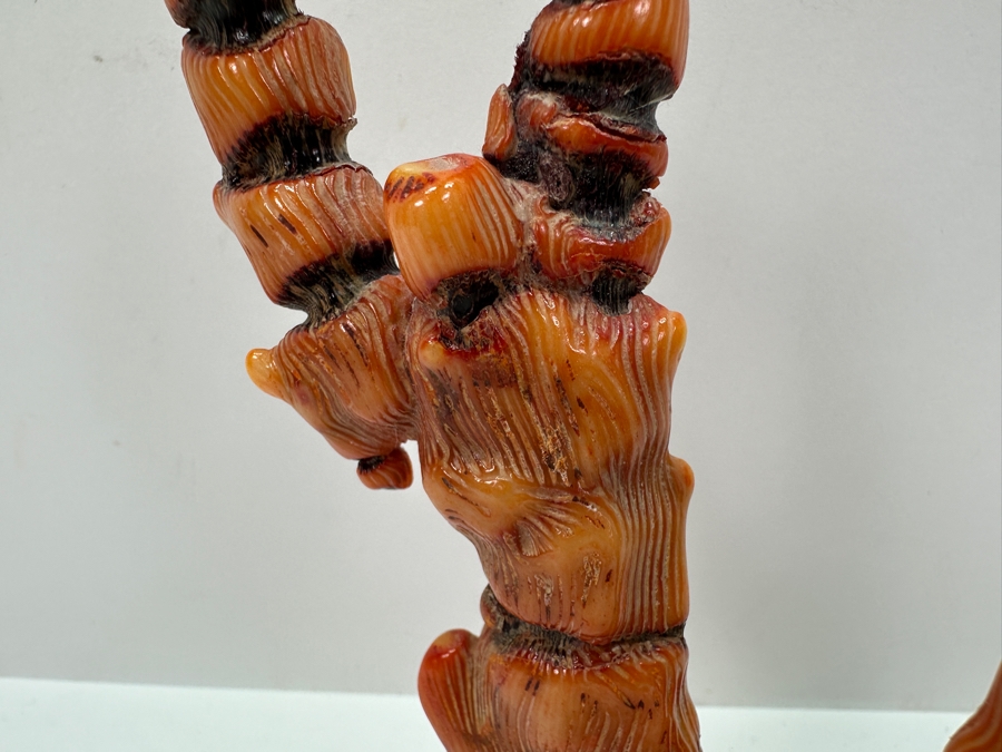 Fossilized Organic Sculptural Red Coral 6.25H 174.5g [Photo 4]