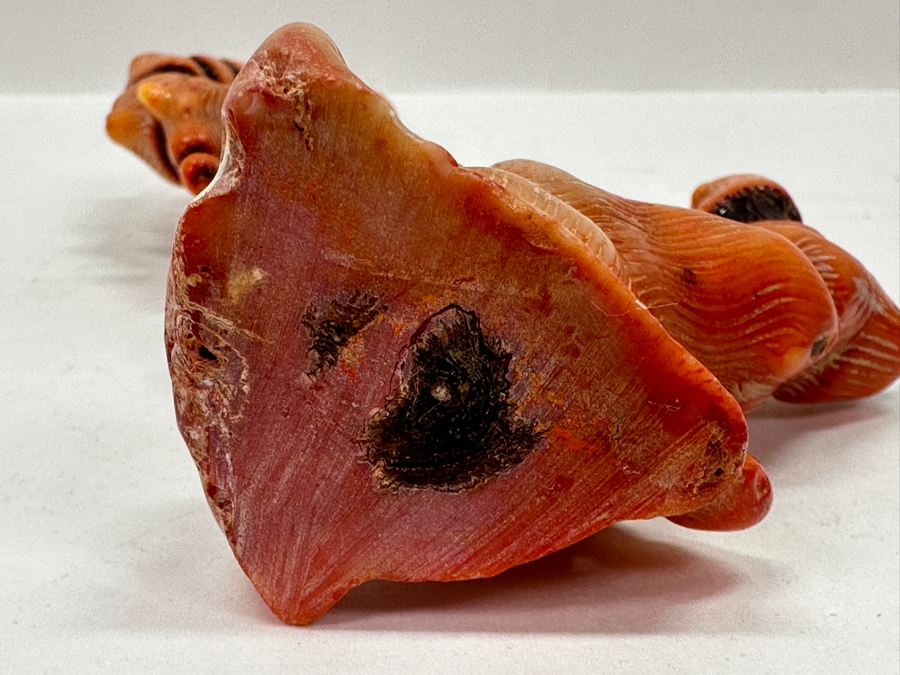 Fossilized Organic Sculptural Red Coral 6.25H 174.5g [Photo 16]