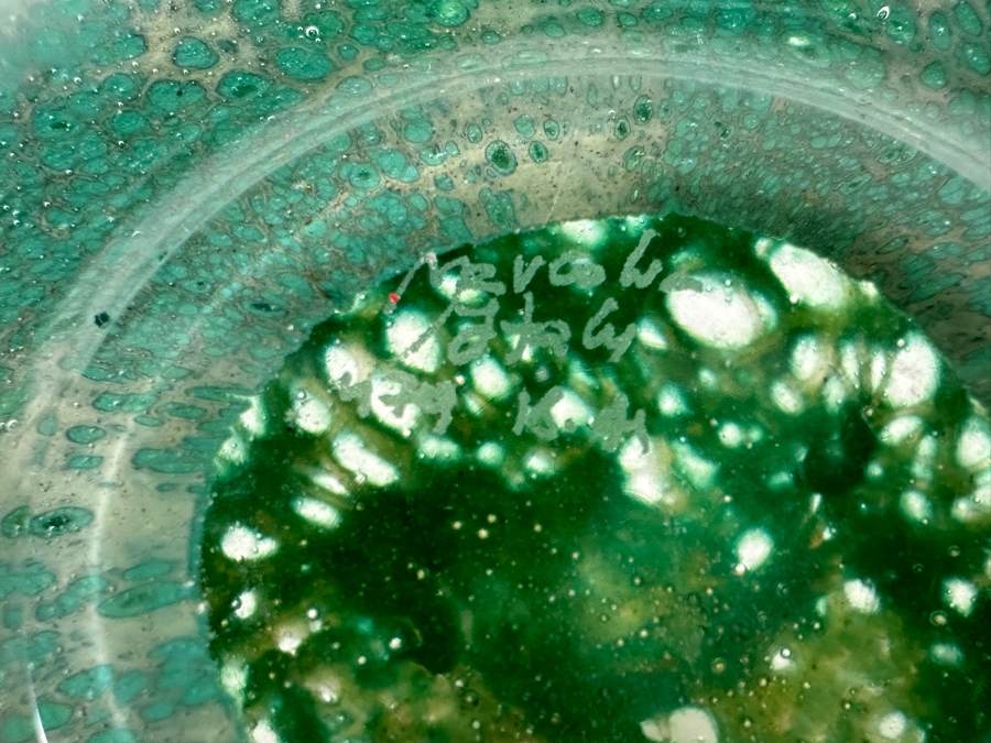 Italian Signed Marcolin Art Glass Turtle 7'W x 7'D x 2.5'H [Photo 13]