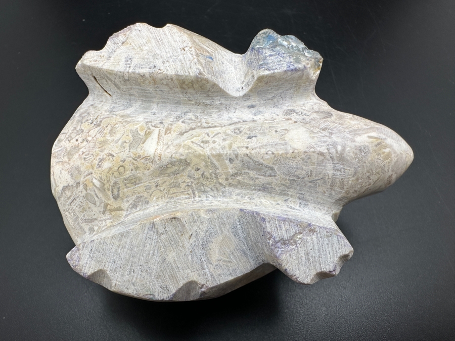 Hand Carved Fossil Stone Turtle Figurine 167g [Photo 9]