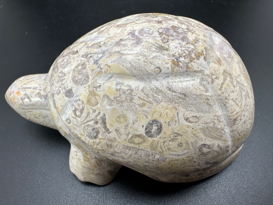 Hand Carved Fossil Stone Turtle Figurine 167g [Photo 3]