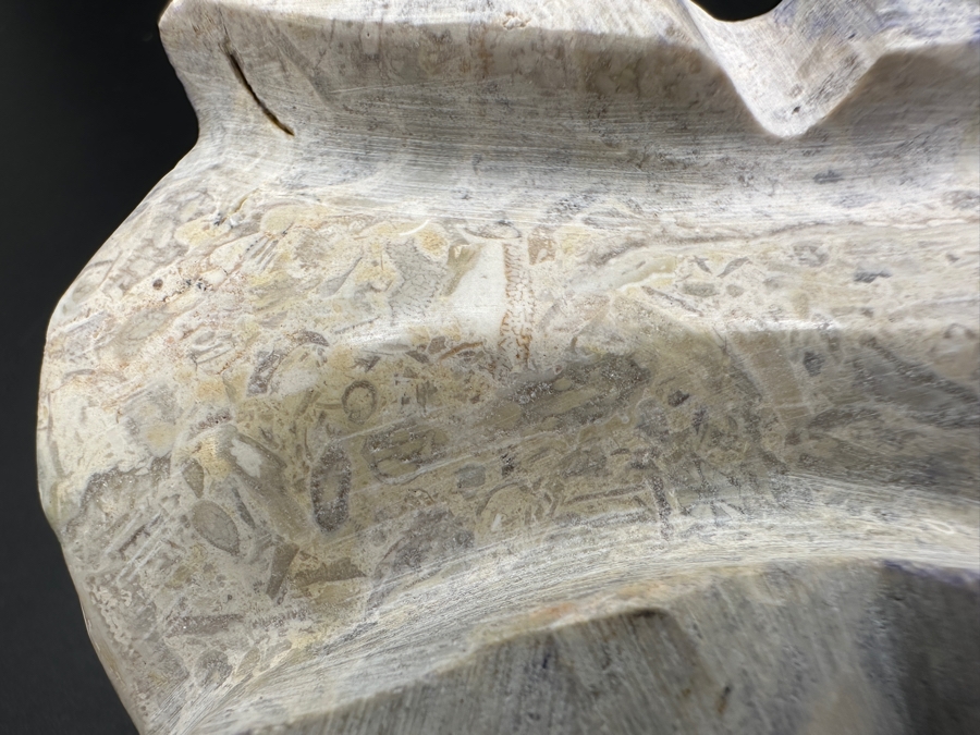 Hand Carved Fossil Stone Turtle Figurine 167g [Photo 10]