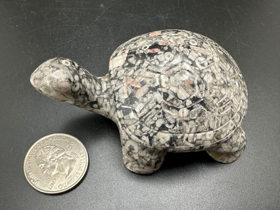 Hand Carved Fossil Stone Turtle Figurine 137g [Photo 12]