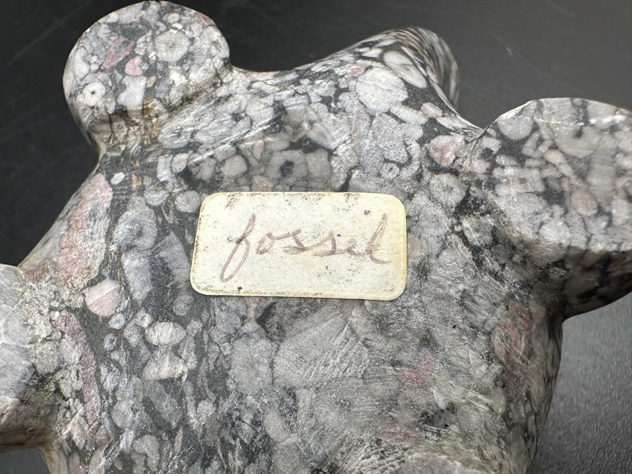 Hand Carved Fossil Stone Turtle Figurine 137g [Photo 11]