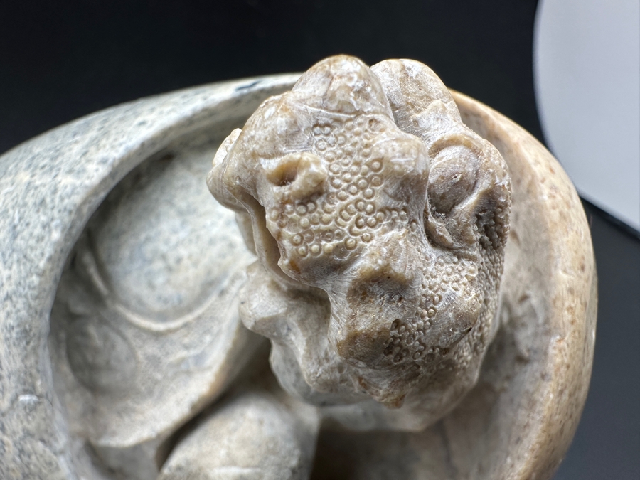 Stunning Vintage Hand-Carved Stone Turtle Emerging From Egg with Writing 84.7g [Photo 12]